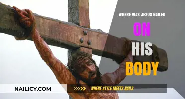 Crucifixion of Christ: Where Jesus Was Nailed on His Body