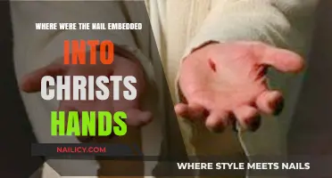 Unraveling the Mystery: Where Were Nails Embedded in Christ's Hands?