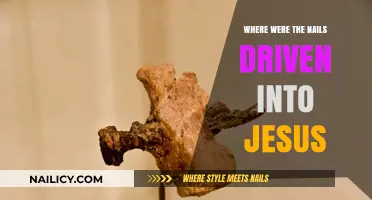 Crucifixion of Christ: The Location of Jesus' Nail Wounds Explored