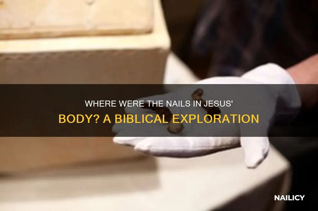 where were the nails in jesus body