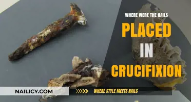 Crucifixion Nail Placement: Historical Insights and Anatomical Considerations