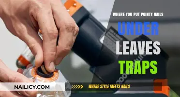 Strategic Leaf Trap Placement: Using Pointy Nails for Effective Pest Control