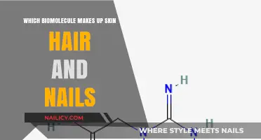 Keratin: The Essential Biomolecule Behind Skin, Hair, and Nails