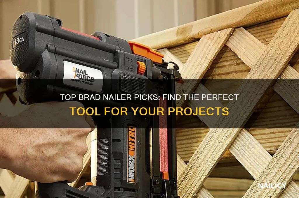 which brad nailer is best