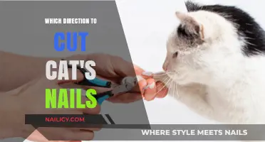 Trimming Cat's Nails: Which Direction to Cut?