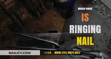 Which Forge Rings the Loudest Nail: A Comparative Analysis