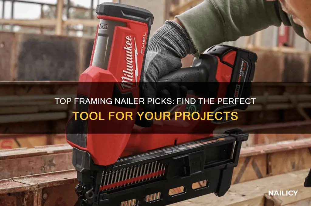 which framing nailer is best