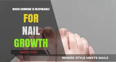 Hormones and Nail Growth: Unveiling the Key Player Behind Strong Nails