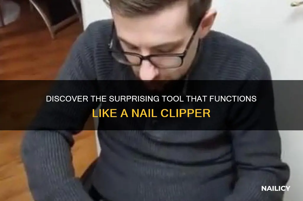 which implement is similar to a nail clipper