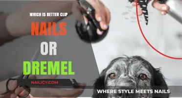 Clipping vs. Dremeling: Which Nail Care Method Suits Your Pet Best?