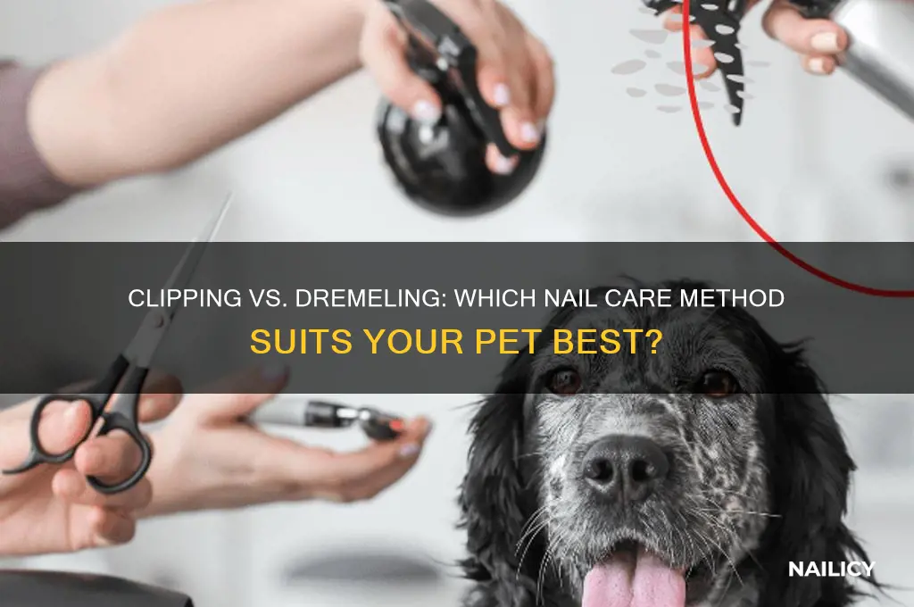which is better clip nails or dremel
