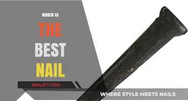 Choosing the Perfect Nail: Types, Uses, and Best Options for Every Project