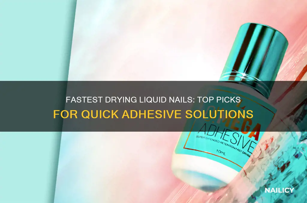 which is the quick drying liquid nails