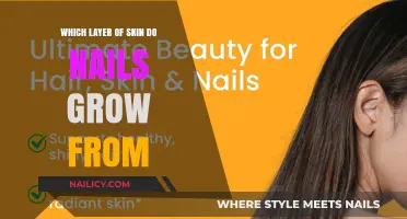 The Origin of Nail Growth: Skin's Deepest Layer