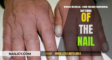 Understanding Onychorrhexis: The Medical Term for Nail Softening