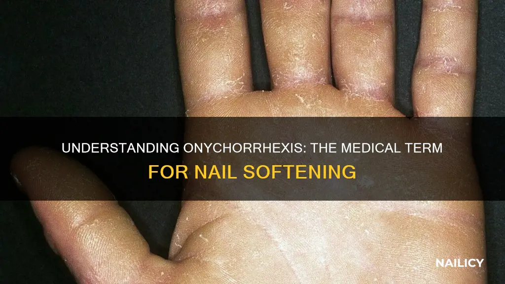 which medical term means abnormal softening of the nail