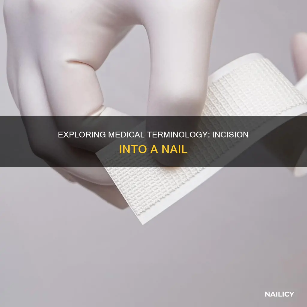 which medical term means incision into a nail