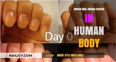 Nail Growth: Which Fingers and Toes Grow Nails Faster?