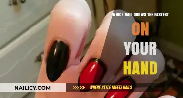 Middle Finger Nail: The Fastest Growing Nail