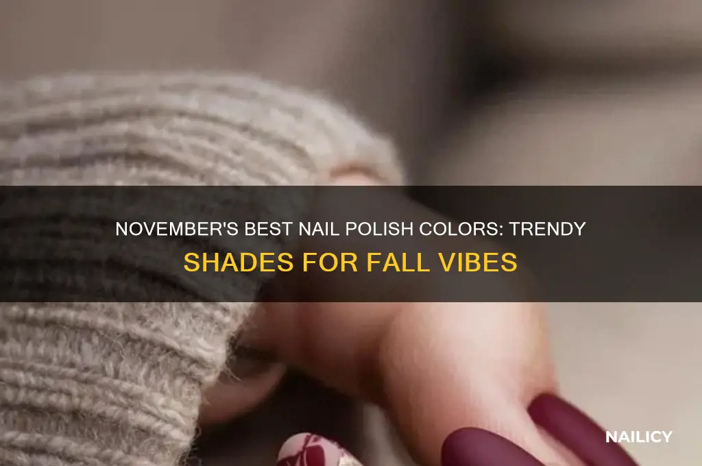 which nail polish color is best in november