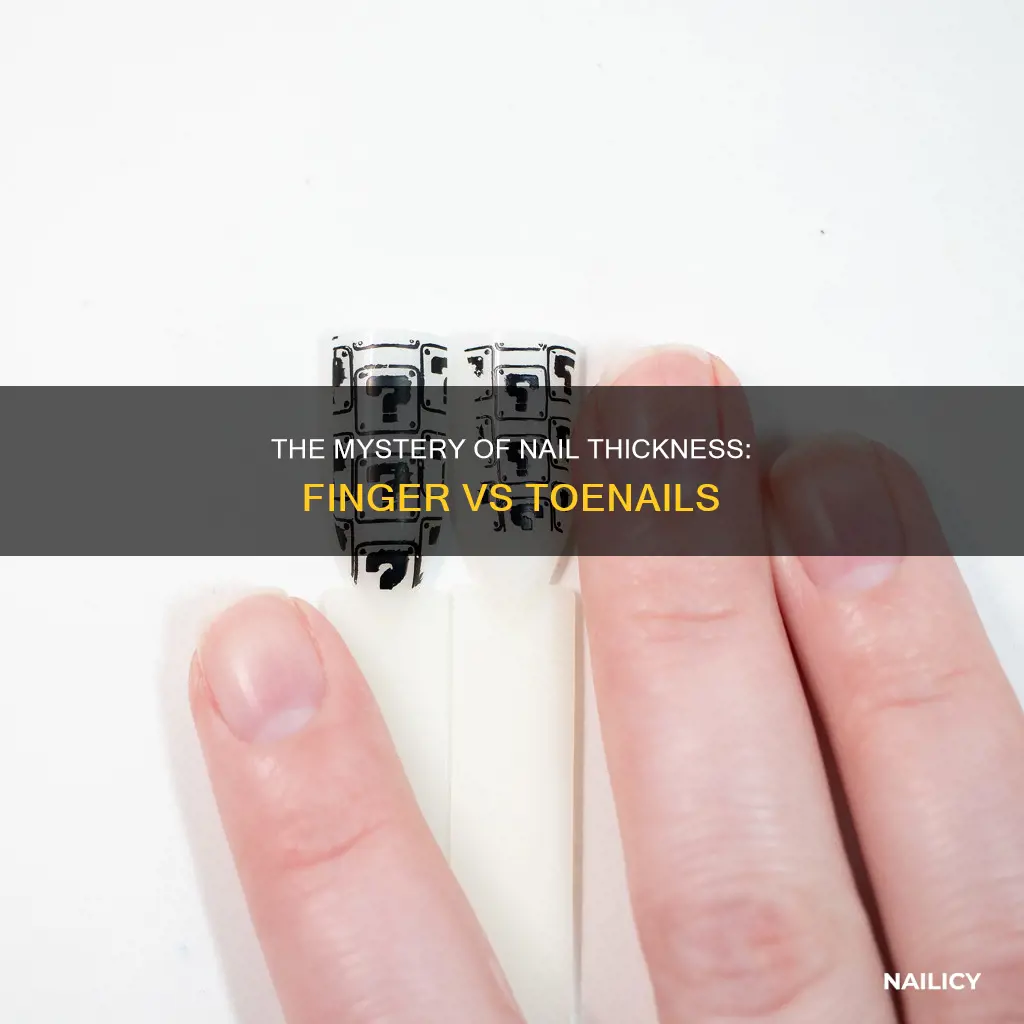 which nails are thicker finger or toenails