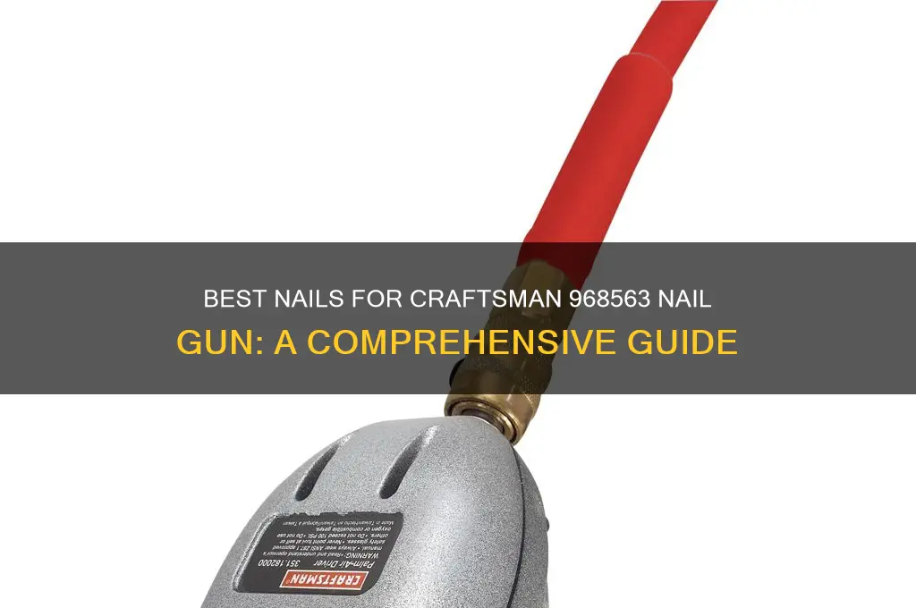 which nails for a craftsman 968563 nailgun