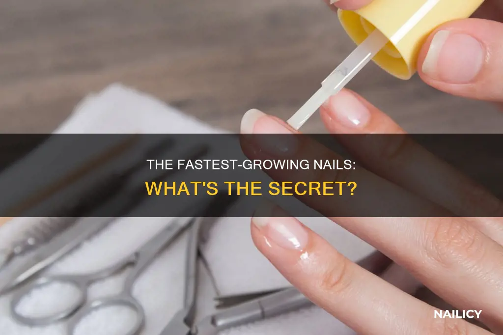 which nails grow the fastest