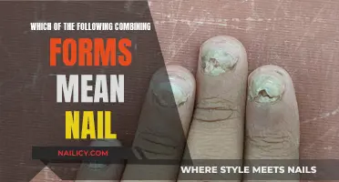 Exploring Medical Terminology: Uncovering the Meaning of Nail-Related Terms