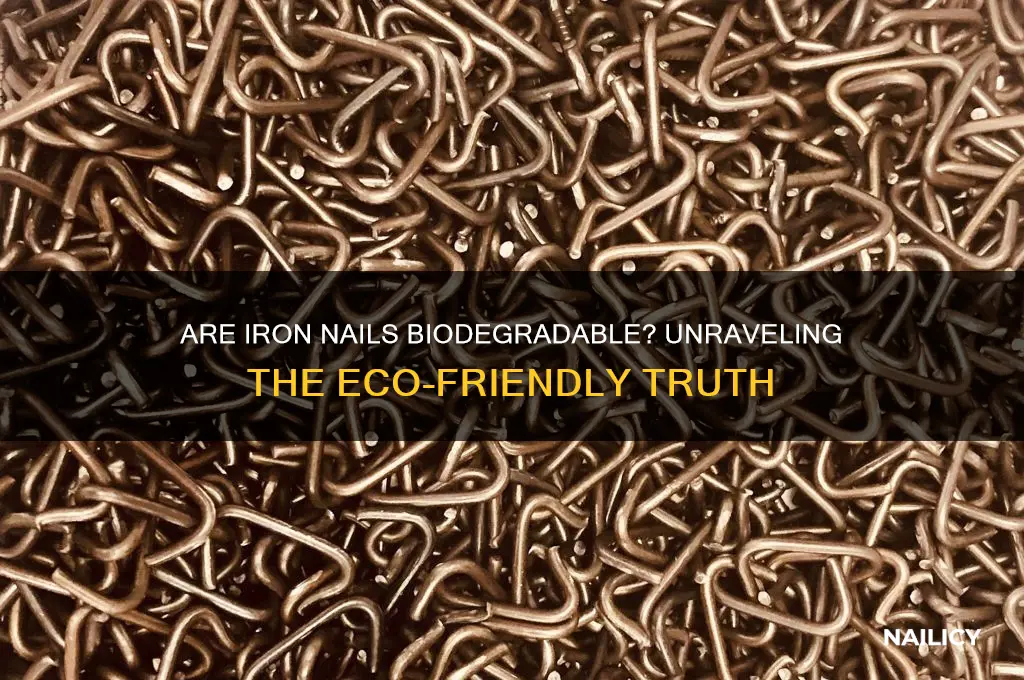 which of the following is biodegradable iron nails