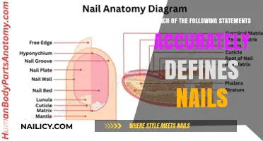 Understanding Nails: Accurate Definitions and Common Misconceptions Explained