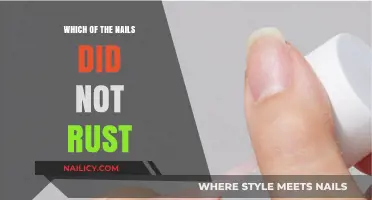 The Unrusted Nail: Uncovering the Secret to Its Durability