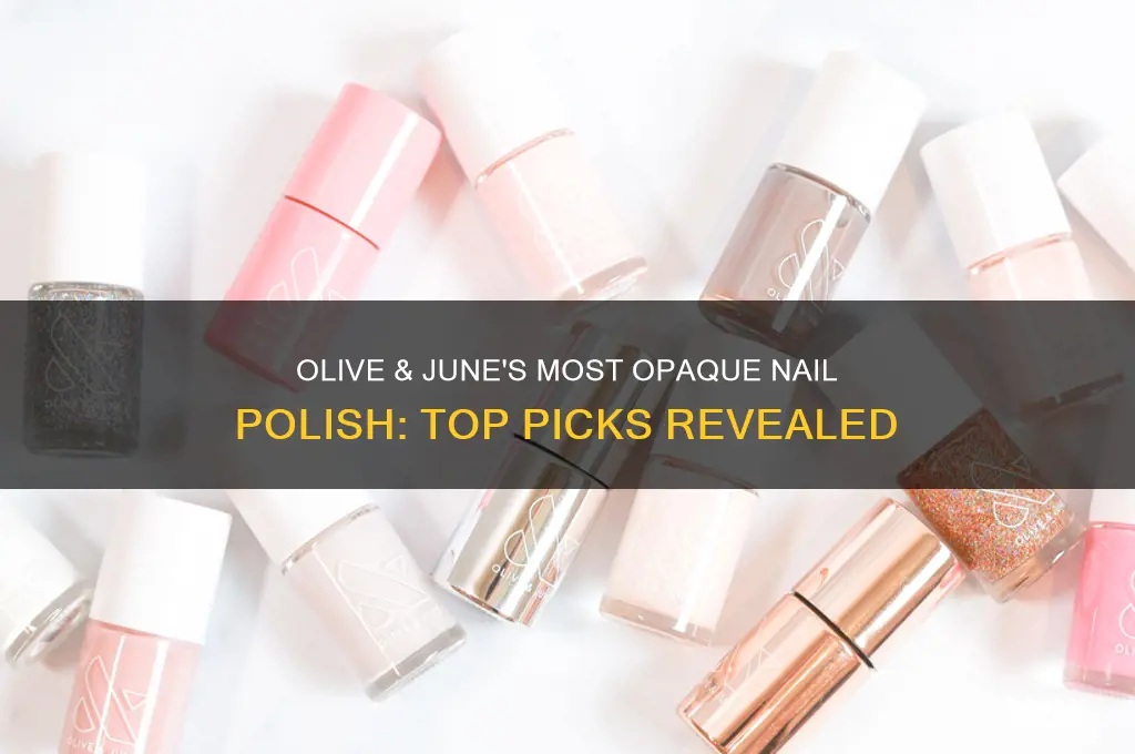 which olive and june nail polish is most opaque
