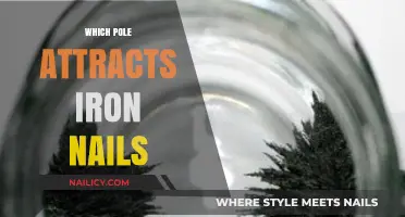 Magnetic Poles and Iron Nails: Understanding Attraction in Magnetism