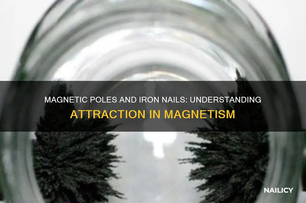which pole attracts iron nails