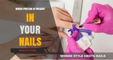 Unveiling the Protein Powerhouse: What Makes Up Your Nails?