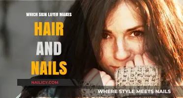 The Dermis: Skin Layer Responsible for Hair and Nail Growth