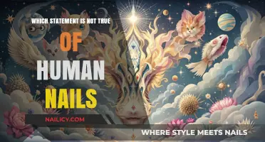 Debunking Nail Myths: Which Statement Doesn't Hold True for Human Nails?