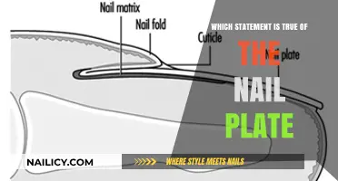 Understanding the Nail Plate: Debunking Common Myths and Facts