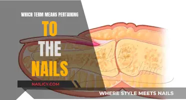 The Intriguing World of Nail-Related Terminology and Meanings