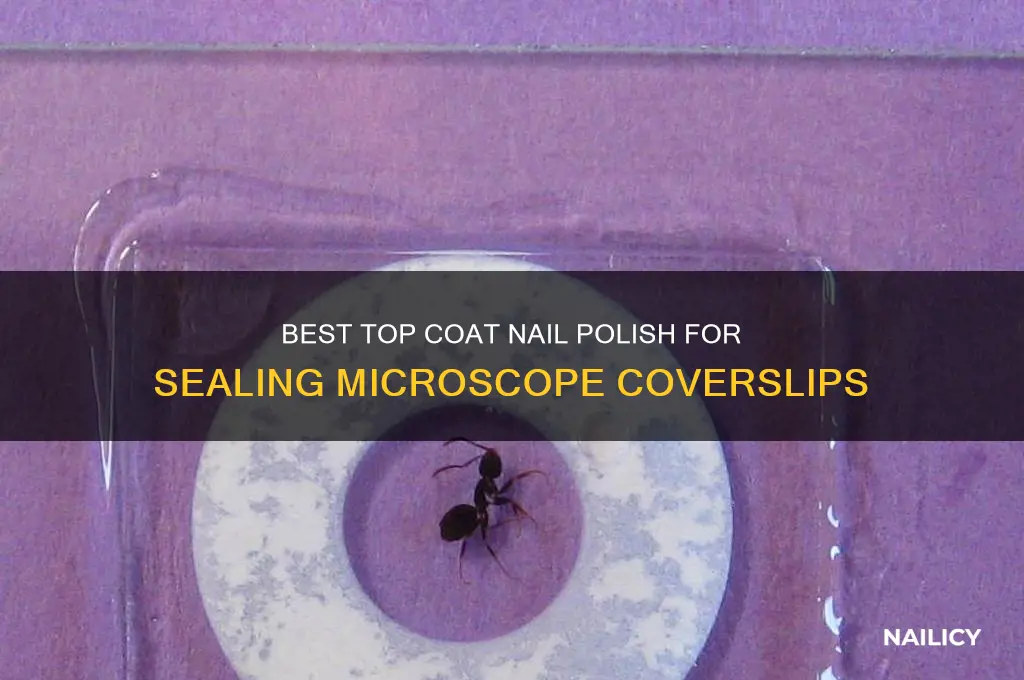 which top coat nail polish is best for sealing coverslips