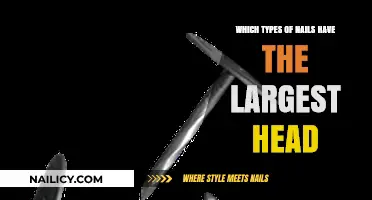 Discover the Largest-Headed Nails for Superior Grip and Strength