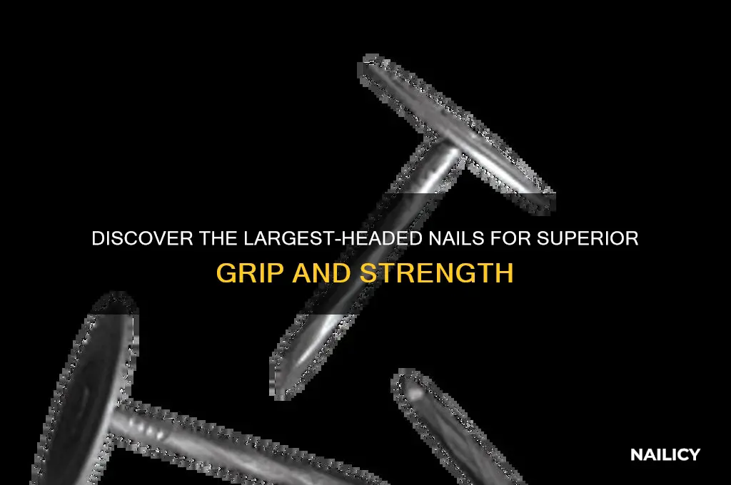 which types of nails have the largest head