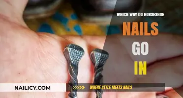 Horseshoe Nails: The Correct Way to Drive Them In