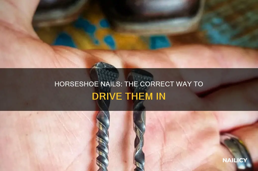 which way do horseshoe nails go in