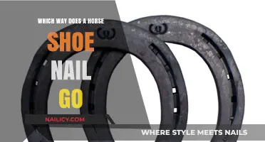 Proper Horseshoe Nail Placement: Which Way Should It Go?