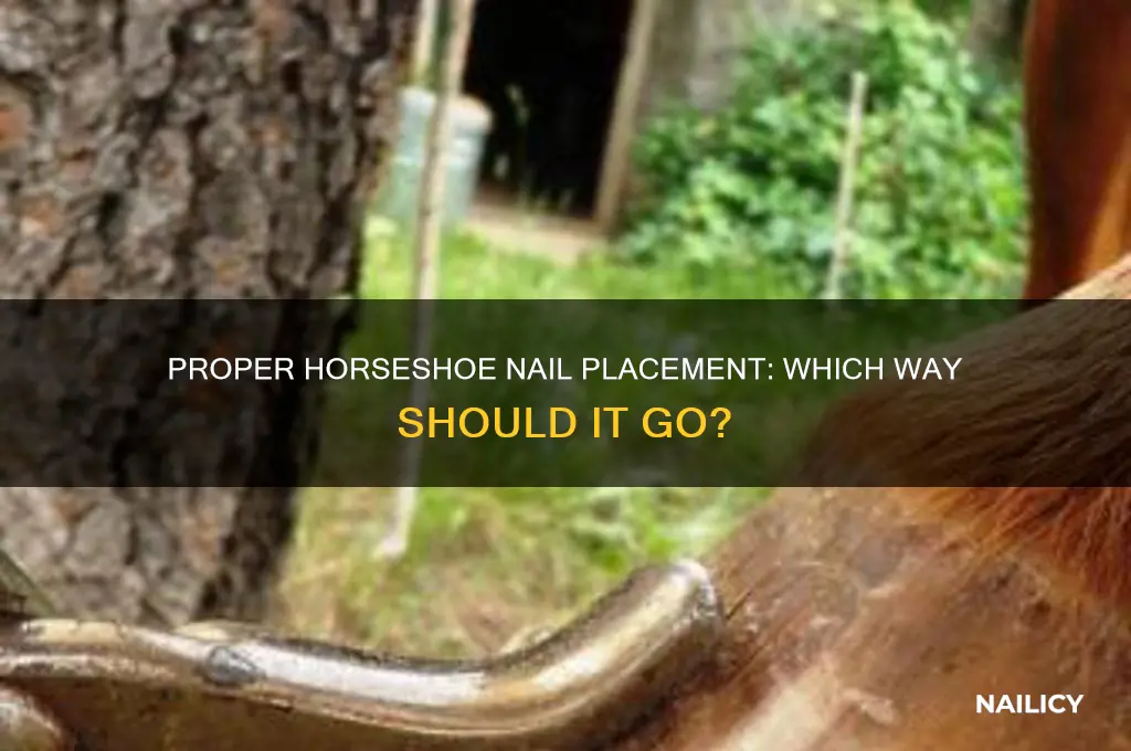 which way does a horse shoe nail go