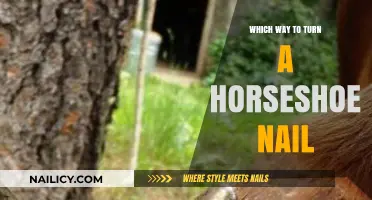 Which Way to Turn a Horseshoe Nail: A Guide to Proper Placement