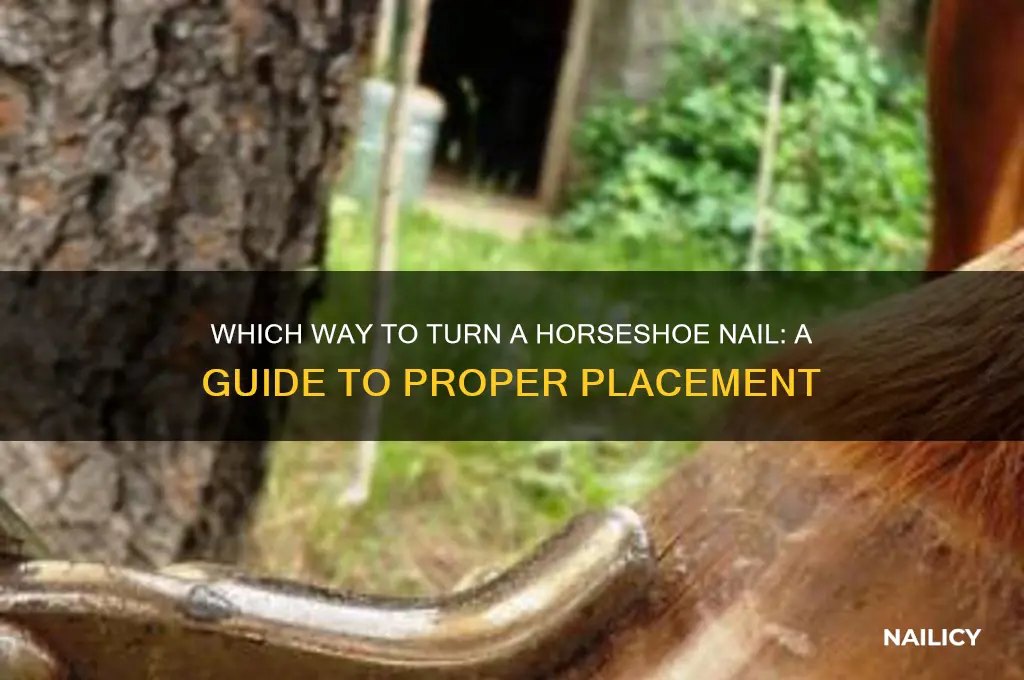 which way to turn a horseshoe nail
