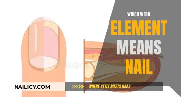 The Nail File: Exploring the Word Element for Nails