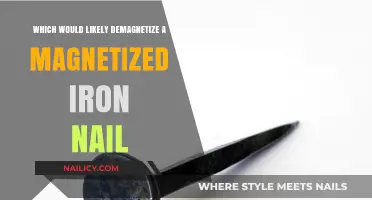 What Causes Demagnetization in a Magnetized Iron Nail?